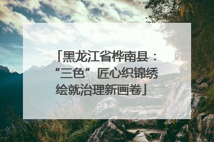 黑龙江省桦南县：“三色”匠心织锦绣 绘就治理新画卷