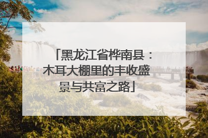 黑龙江省桦南县：木耳大棚里的丰收盛景与共富之路