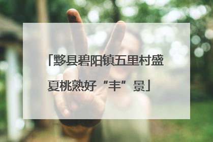 黟县碧阳镇五里村盛夏桃熟好“丰”景