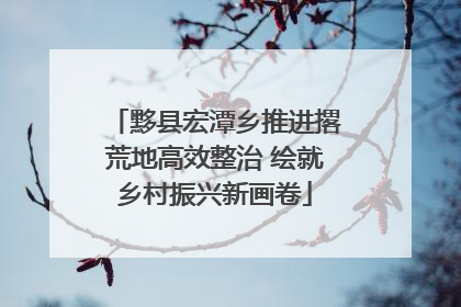 黟县宏潭乡推进撂荒地高效整治 绘就乡村振兴新画卷