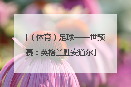 （体育）足球——世预赛：英格兰胜安道尔