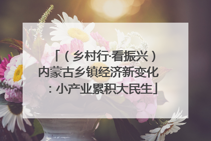 （乡村行·看振兴）内蒙古乡镇经济新变化：小产业累积大民生