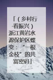 （乡村行·看振兴）浙江黄岩水源保护区蝶变：“一根金枝”的共富密码