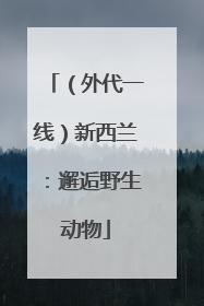 （外代一线）新西兰：邂逅野生动物