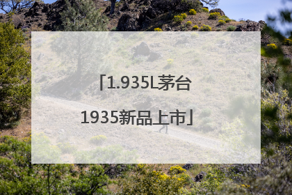 1.935L茅台1935新品上市
