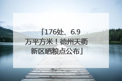 176处、6.9万平方米！德州天衢新区晒粮点公布