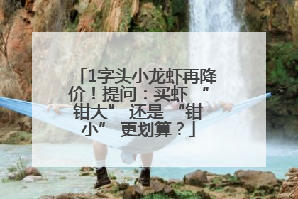1字头小龙虾再降价！提问：买虾 “钳大” 还是 “钳小” 更划算？
