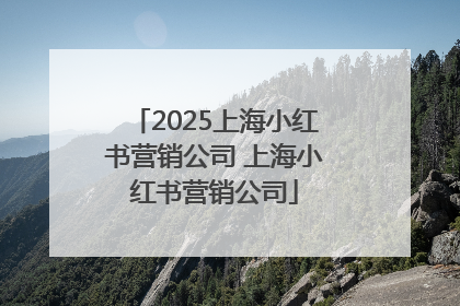 2025上海小红书营销公司 上海小红书营销公司