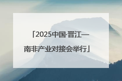 2025中国·晋江—南非产业对接会举行