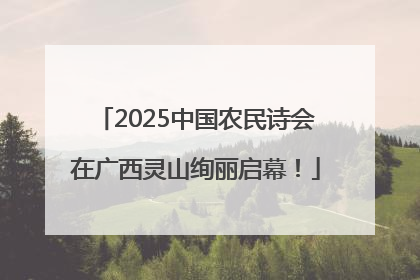2025中国农民诗会在广西灵山绚丽启幕！