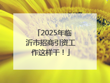 2025年临沂市招商引资工作这样干！