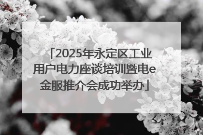2025年永定区工业用户电力座谈培训暨电e金服推介会成功举办