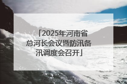 2025年河南省总河长会议暨防汛备汛调度会召开