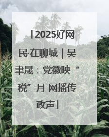 2025好网民·在聊城｜吴聿晟：党徽映“税”月 网播传政声