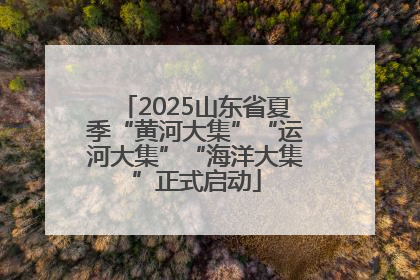 2025山东省夏季“黄河大集”“运河大集”“海洋大集”正式启动