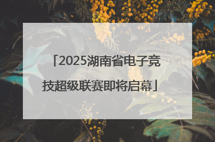 2025湖南省电子竞技超级联赛即将启幕