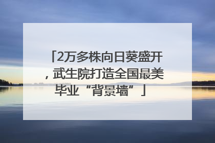 2万多株向日葵盛开，武生院打造全国最美毕业“背景墙”