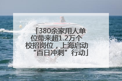 380余家用人单位带来超1.2万个校招岗位，上海启动“百日冲刺”行动