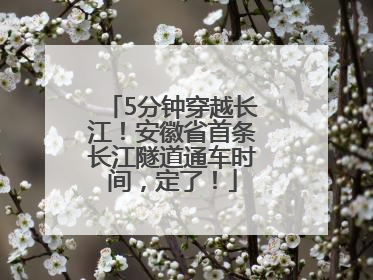 5分钟穿越长江！安徽省首条长江隧道通车时间，定了！