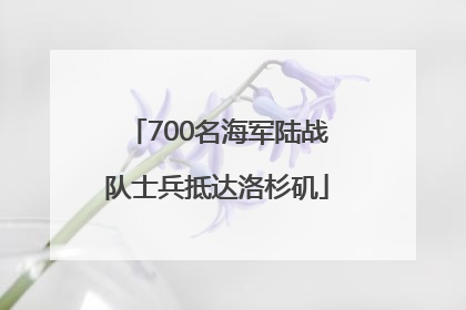 700名海军陆战队士兵抵达洛杉矶