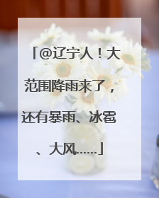 @辽宁人！大范围降雨来了，还有暴雨、冰雹、大风……