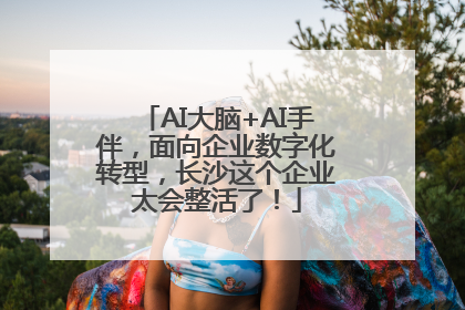 AI大脑+AI手伴，面向企业数字化转型，长沙这个企业太会整活了！