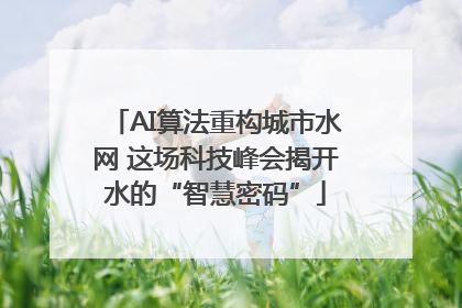 AI算法重构城市水网 这场科技峰会揭开水的“智慧密码”