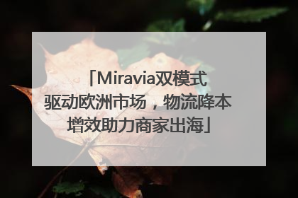 Miravia双模式驱动欧洲市场，物流降本增效助力商家出海